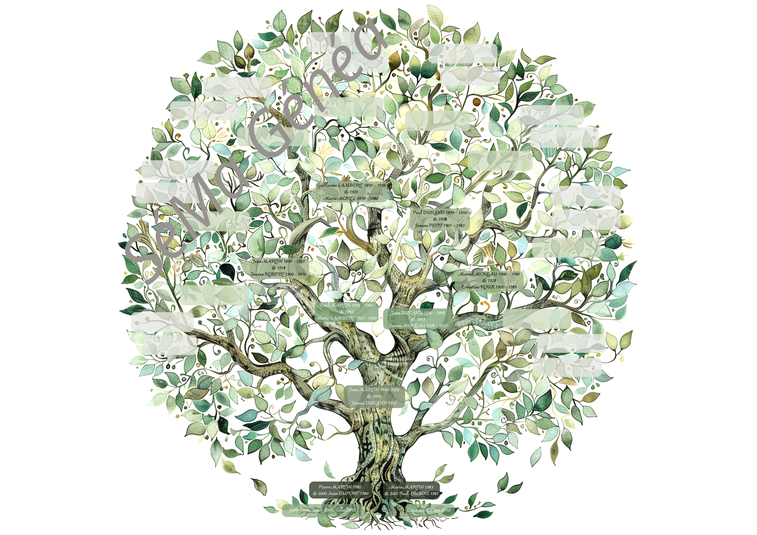 Exemple Arbre généalogique personnalisé