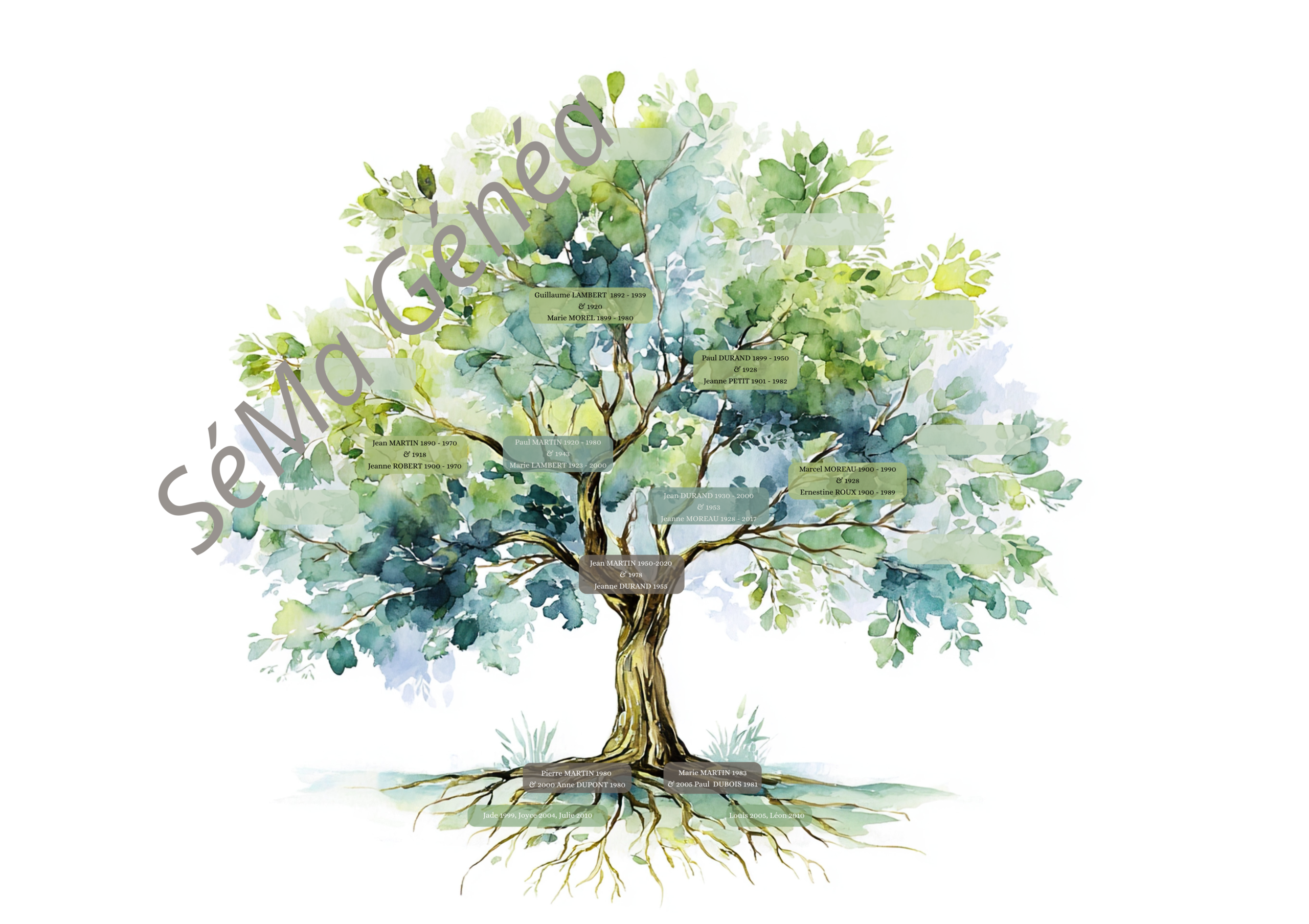 Exemple Arbre généalogique personnalisé